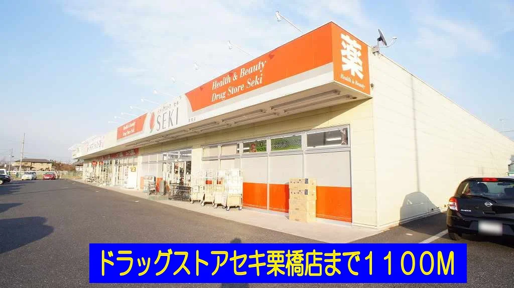 ドラッグストアセキ栗橋店まで1100m