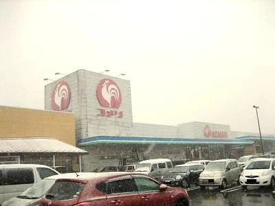 コメリハード＆グリーン豊栄店まで2500m