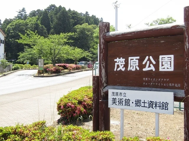 茂原公園まで2100m