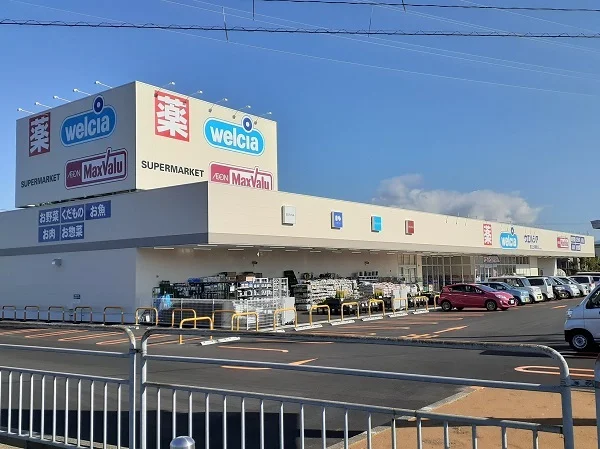 ウェルシア上河端町店まで850m