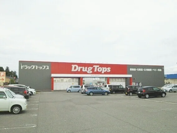 ドラッグトップス岩上店まで1140m