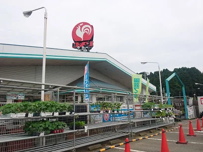 コメリハード＆グリーン 織田店まで1000m