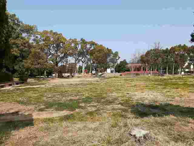 松の木公園まで1200m