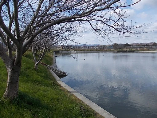 服部大池公園まで500m