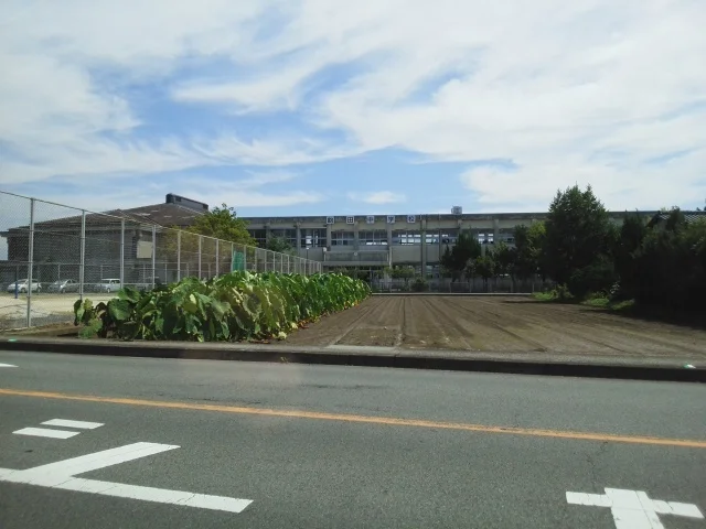 飽田中学校まで130m