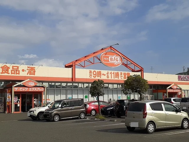 ザ・ビッグ川尻店まで1100m