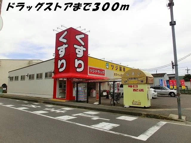 ツジ薬局まで300m