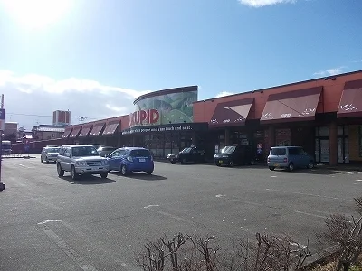 キューピット五泉店まで1100m