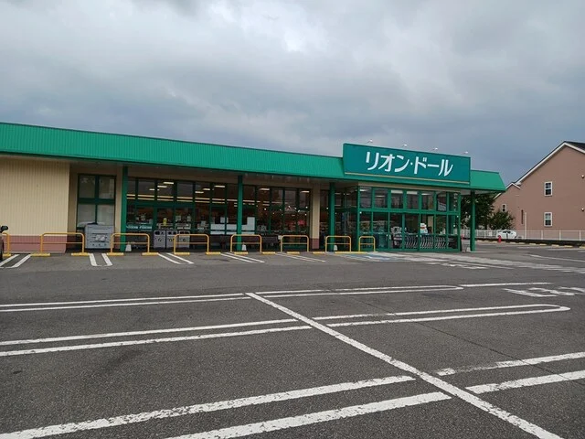 リオン・ドール村松店まで350m