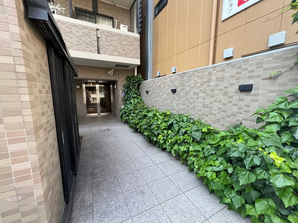 緑溢れるアプローチ