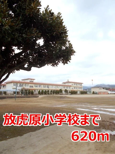 放虎原小学校まで620m