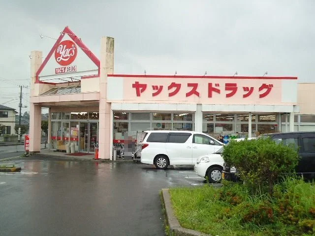 ヤックスドラッグ袖ヶ浦店まで1100m