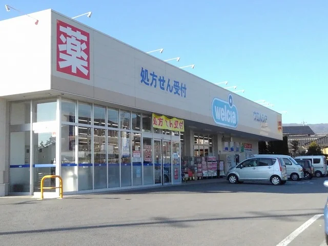 ウェルシア真田店まで1000m