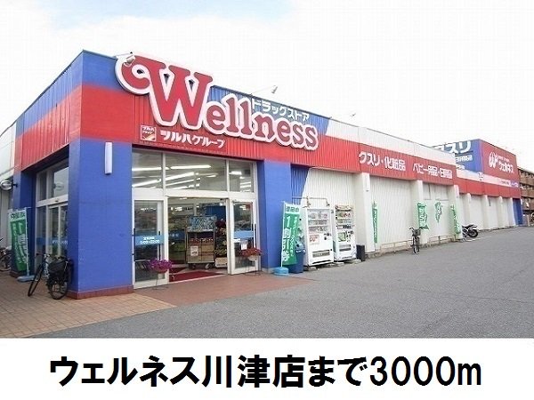 ウェルネス川津店まで3000m