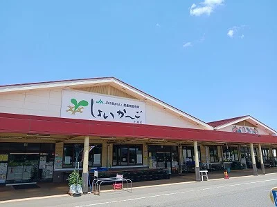 しょいかーごまで100m