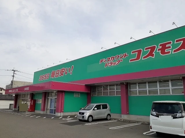 コスモス小林西店まで600m