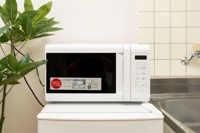 電子レンジ