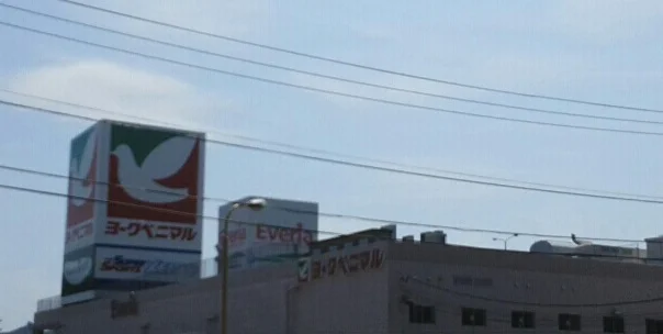 エブリアまで1600m