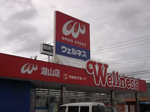 ウェルネス湖山店まで450m