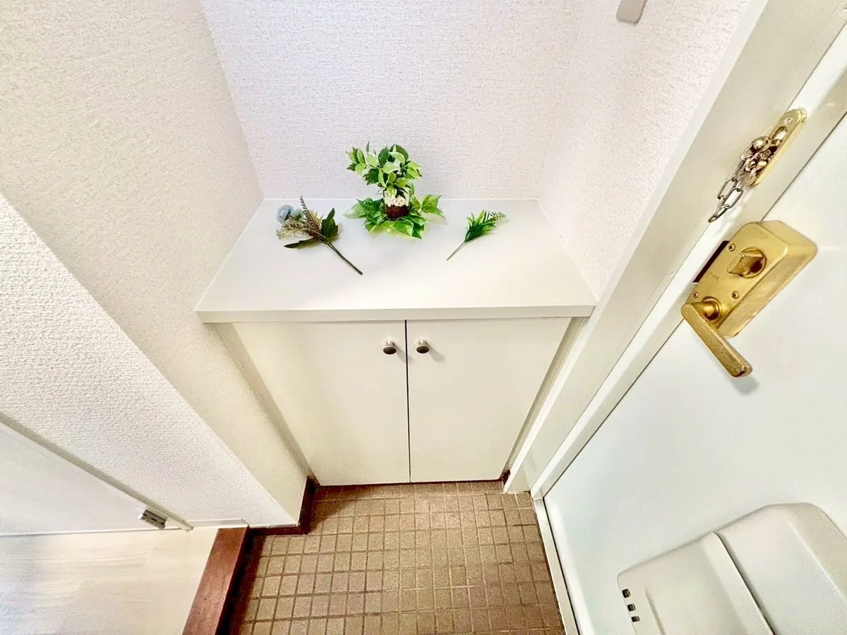 ※撮影用の観察植物・食器調理器具・雑貨類等はございません。※写真は現況優先