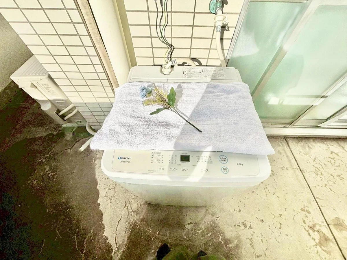 ※撮影用の観察植物・食器調理器具・雑貨類等はございません。※写真は現況優先