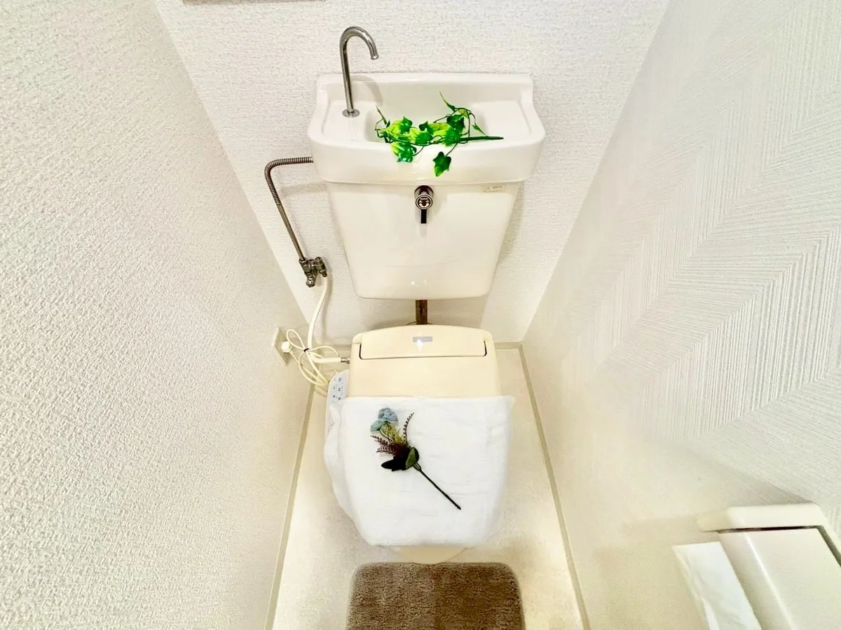 ※撮影用の観察植物・食器調理器具・雑貨類等はございません。※写真は現況優先
