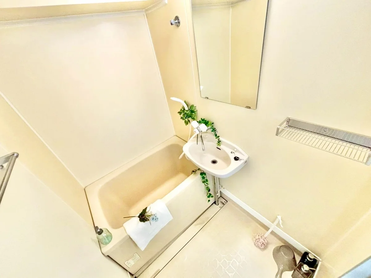 ※撮影用の観察植物・食器調理器具・雑貨類等はございません。※写真は現況優先