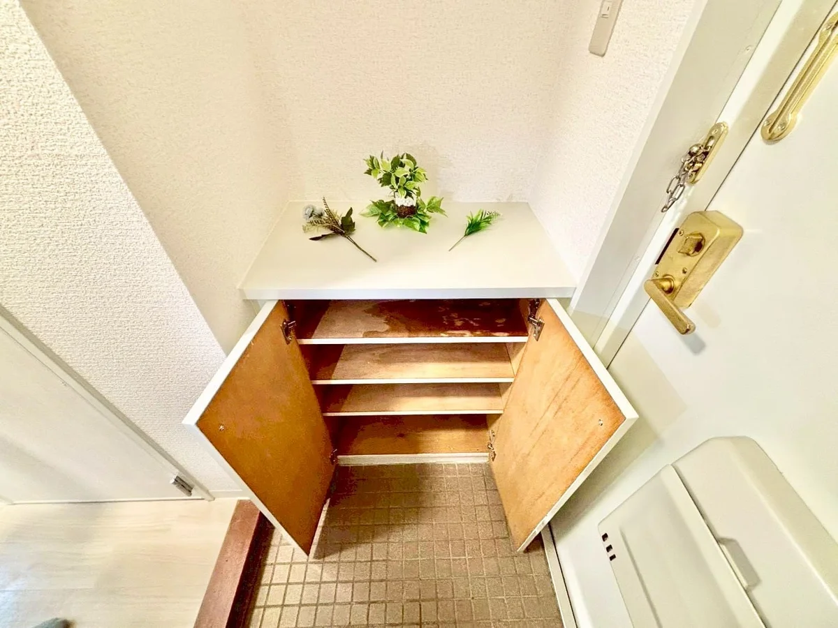 ※撮影用の観察植物・食器調理器具・雑貨類等はございません。※写真は現況優先