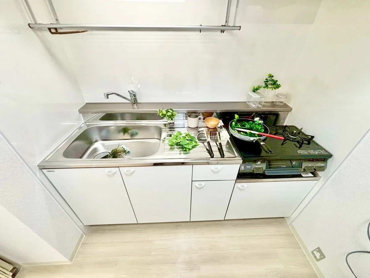 ※撮影用の観察植物・食器調理器具・雑貨類等はございません。※写真は現況優先