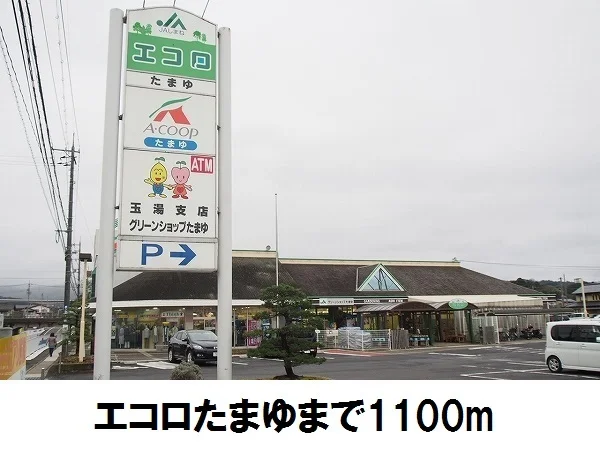 エコロたまゆまで1100m