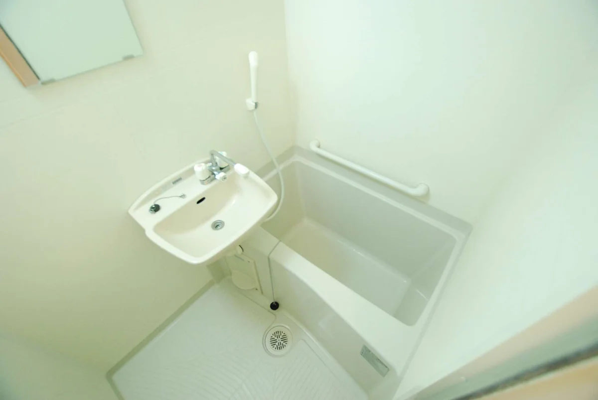 同タイプ写真の為、現況優先。