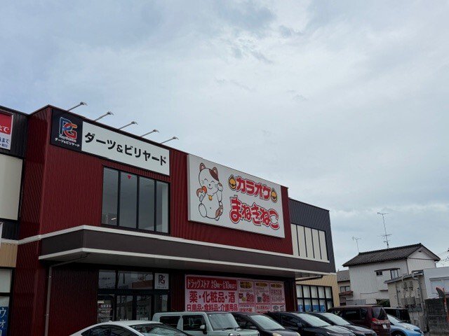 まねきねこまで3100m