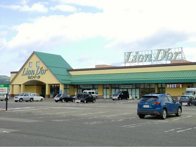 リオンドール坂下店まで400m