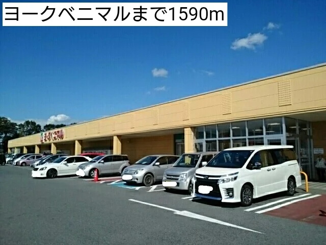 ヨークベニマルまで1590m