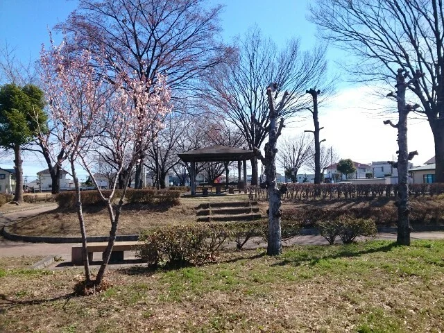 福島公園まで700m