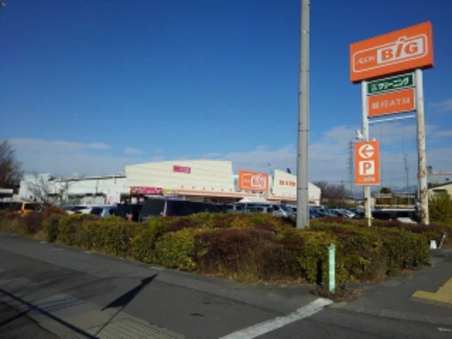 ザ･ビッグ長野東店まで1300m