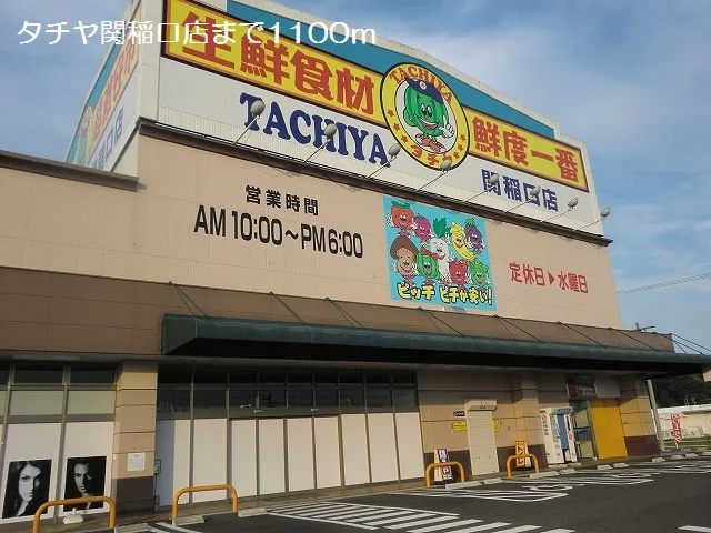 タチヤ関稲口店まで1100m