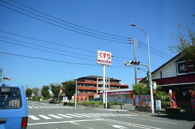 ドラックイレブン若草店まで1100m