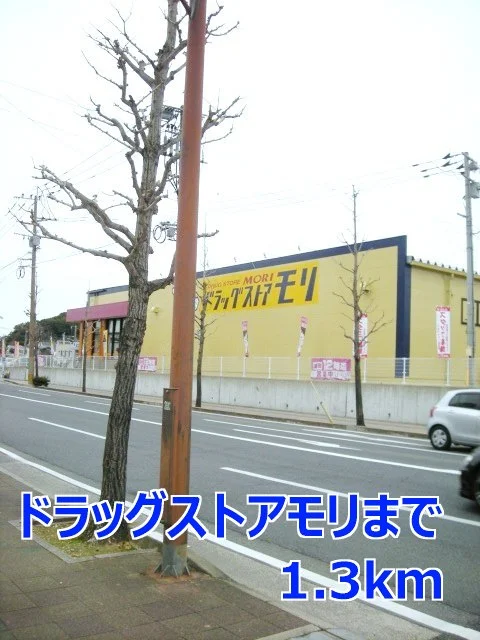 ドラッグストアモリまで1300m