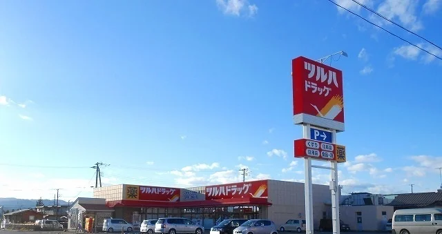 ツルハドラッグ鹿島店まで750m