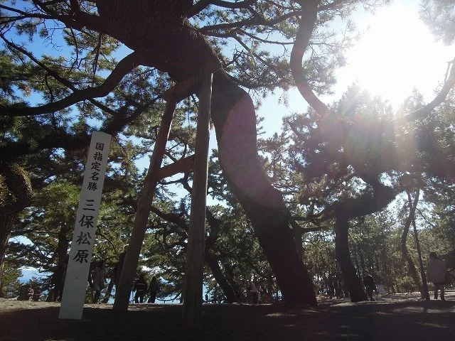 三保の松原まで1200m