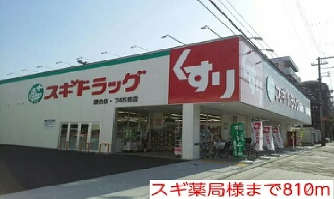 スギ薬局様まで810m