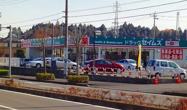 セイムス大網みずほ台店まで900m