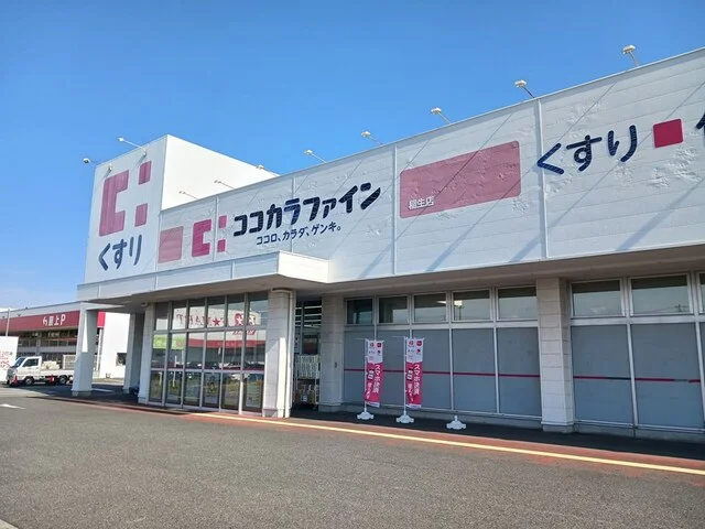 ココカラファイン稲生店まで1000m