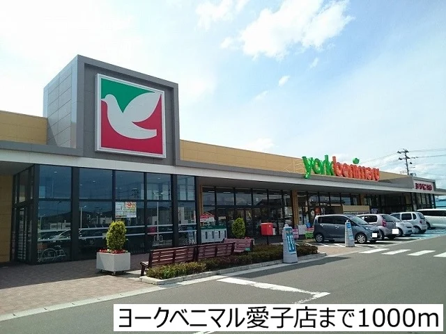 ヨークベニマル仙台愛子店まで1000m