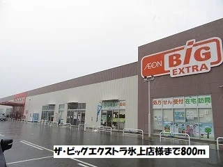 ザ・ビッグエクストラ氷上店まで800m