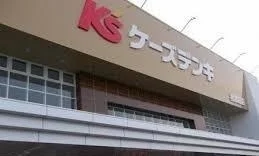 ケーズデンキ相模原店まで1100m