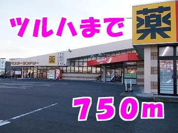 ツルハドラッグまで750m