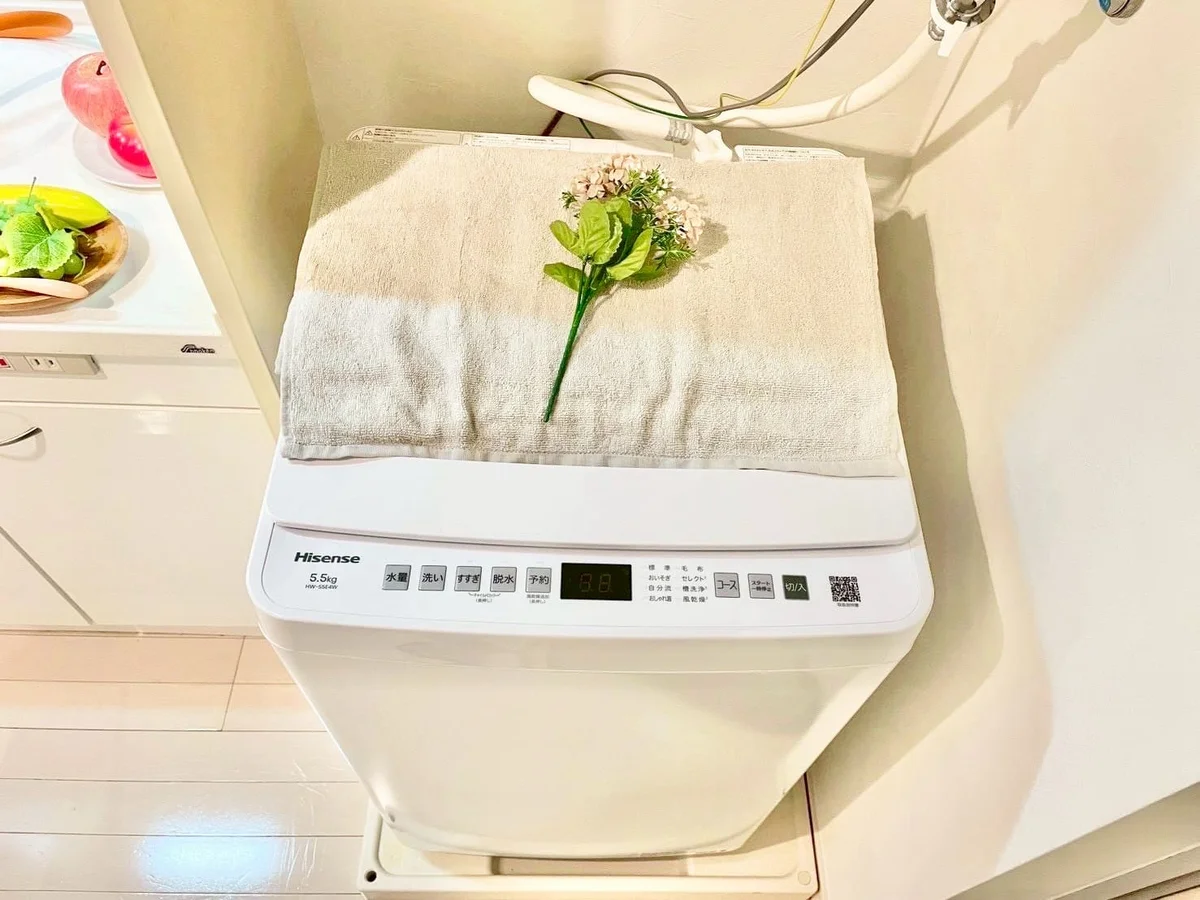 ※撮影用の観察植物・食器調理器具・雑貨類等はございません。※写真は現況優先