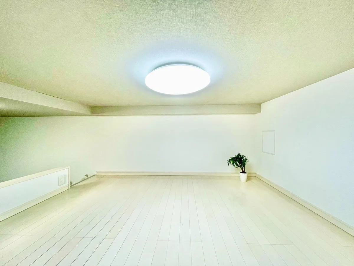 ※撮影用の観察植物・食器調理器具・雑貨類等はございません。※写真は現況優先